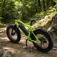 Vélo électrique à pneus larges de 20 pouces 48 V 250 W pour la vente en gros