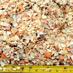 Bán hàng nóng khảm thủ công mỹ nghệ nguyên liệu tự nhiên nghiền vỏ Vỡ Vỏ sò để trang trí - Product Image 2