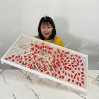 Petite machine automatique de fabrication de bonbons gélifiés, de bonbons à l'amidon, de bonbons en forme d'ours en gélatine, machine à déposer de l'amidon de bonbons