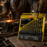 Jeu de 19 forets hélicoïdaux HSS à queue ronde DIN338 118, finition oxyde noir, pour perçage du bois, du métal, du fer et de l'aluminium, directement de l'usine OEM