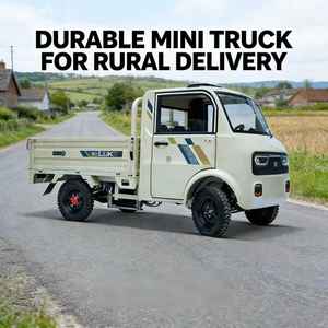 Camionnette électrique compacte à vendre, 2 places, avec volant, fabriquée en Chine - Product Image 3