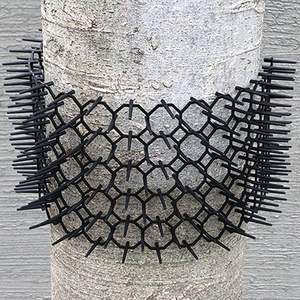 Disponibile all'Ingrosso: Tappetino Anti-Gatti Personalizzato con Strisce Quadrate, Repellente per Gatti, Dissuasore per Scavi, Recinzione con Punte Anti-Gatti - Product Image 5