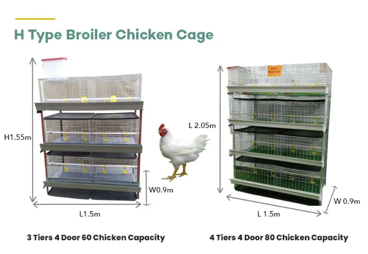 New Broiler Chicken Cage Layer Poultry Battery Cages 3/4 Tiers ...