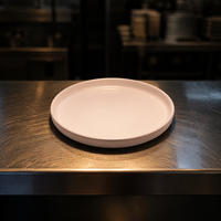 Assiettes à soupe en porcelaine fabriquées à la main, écologiques, bohèmes, mates, en céramique européenne, émaillées, du Guangdong, pour cadeaux, maison, restaurant