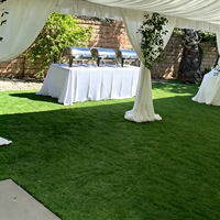 Gazon artificiel haute densité, tapis en gazon synthétique, gazon ignifuge pour la décoration d'événements et de mariages
