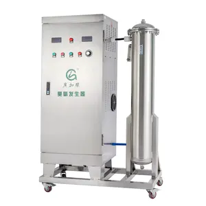 400g/h Industrial Ozone Generator Wastewater Treatment Water Decoloring Ozonizer