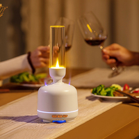 Diffuseur d'arômes électrique AromaNano avec lumière nocturne, diffuseur de brume aromatique avec huile essentielle, aromathérapie, flamme LED, usage domestique, garantie 1 an