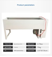 Machine à laver les œufs automatique Birui avec brosse en acier inoxydable 304 pour les magasins alimentaires