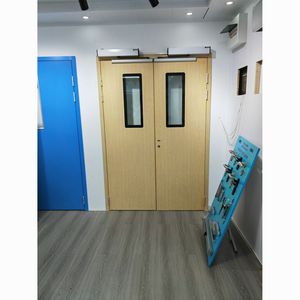 Porta <span class=keywords><strong>Tagliafuoco</strong></span> in Acciaio con Apertura Automatica e Finestrella di Visualizzazione per Uso Interno in Ospedali - Product Image 1