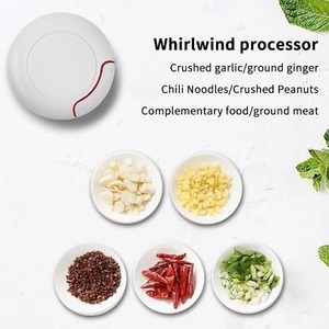 Picadora manual de ajo, picadora portátil multifuncional, molinillo de carne, triturador de carne, mini picadora de ajo y verduras - Product Image 6