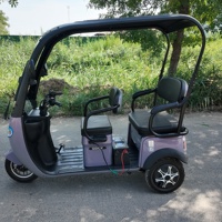 Scooter ecológico de tres ruedas de baja velocidad New Energy-Ideal para paseos cortos en la Comunidad