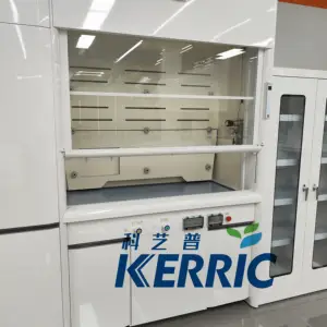 Cheap Laboratory Equipment Fume Cupboard Chemical Explosion Proof Lab Fume Hood with Duct