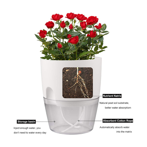 Creative Box Box fioriera con sistema <span class=keywords><strong>di</strong></span> auto irrigazione per balcone fiori fragole e verdure a foglia verde - Product Image 4