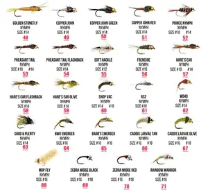 Dry fly Floating Foam beetles Fly Stimulator trota paracadute Caddis Royal Wulff Mayfly Wooly Bugger Ginger Quill mosche da pesca