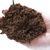 Substrat de culture de fleurs de bonne qualité en terre de coco