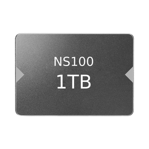 SSD SATA3 NS100 1 To, lecture 550 Mo/s, écriture 500 Mo/s pour ordinateur de bureau et portable - Product Image 1
