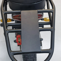 COSWHEEL GT20 RACK TRASERO EBIKE ESTANTE TRASERO ACCESORIOS DE BICICLETA ELÉCTRICA