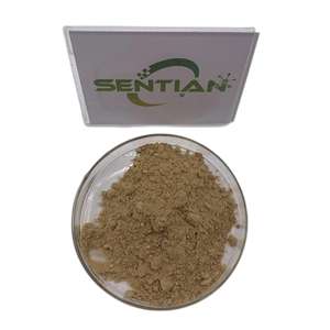 Plante Agastache Rugosus Herba Extarct Extrait de patchouli Poudre d'extrait de patchouli - Product Image 3