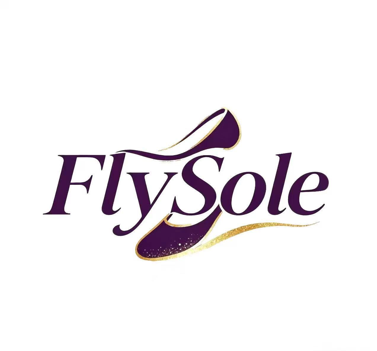 Shenzhen Flysole Trading Co., Ltd. logo
