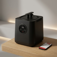 Générateur de vapeur pour sauna portable moderne électrique avec réglage de la température sur 9 niveaux pour l'intérieur