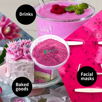 100% Natuurlijke Biologische Gevriesdroogde Rode Dragon Pitaya Fruitpoeder
