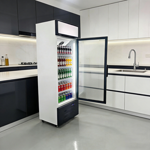 Réfrigérateur commercial de <span class=keywords><strong>grande</strong></span> taille avec porte vitrée refroidie par air pour restaurant et supermarché - Product Image 6