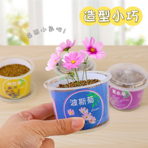 Kit de graines de fraises en mini-pot, ornement de bureau intérieur pour enfants, pour une culture DIY amusante - Product Image 3
