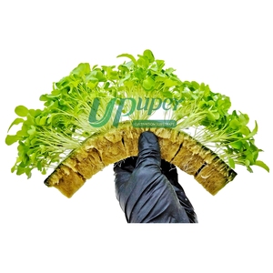 Upuper hydroponics dọc các trang trại Cubes Sponge cp25t cho hydroponics phát triển tháp dọc nông nghiệp - Product Image 1