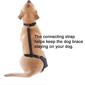 Venta caliente transpirable perro rodillera ajustable lesión canino ligamento cruzado articulación rodilla soporte envoltura mascota perro rodillera - Product Image 3