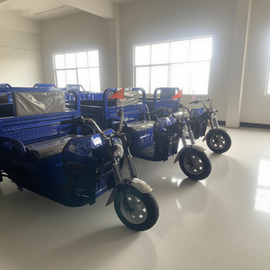 Blue Open Tricycle with Tipper Dump Bed 300-400kg Payload 1000W Power 50-70km <b>Range</b> - Product Image 4
