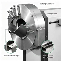 Industriële gember snij- en raspmachine DQC-250S voor het verwerken van knolgroenten in voedingsmiddelenindustrieën