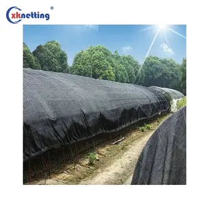UV Durable HDPE Outdoor Garten Gewächshaus Landwirtschaft lich schwarz dunkelgrün Sonne Schatten Mesh Netz mit Schattierung