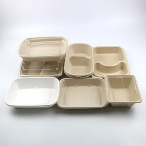 Bagasse Tray Custom Sugarcane Bagasse Packaging Paper Disposable Meal Food Container Deep Tray Biodegradable
