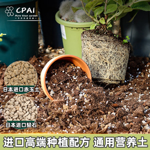 Cpai – terreau universel granulaire nutritif pour fleurs, légumes, succulentes, roses - Product Image 2