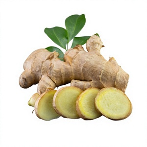 ราคาแข่งขัน คุณภาพดีที่สุด ขิงสดอ่อนจากเวียดนาม จำหน่ายจำนวนมาก - Product Image 1