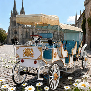 Carruaje Eléctrico de Paseo Tipo Princesa para Bodas, Carruaje Real para Bodas en Venta, Vehículo Eléctrico - Product Image 1
