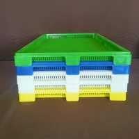 Plateau de séchage en plastique empilable robuste, plateau de drainage alimentaire pour la transformation industrielle des fruits et légumes
