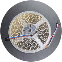 Tira de LED de Píxeles SMD5050 RGB RGBW RGBWW Programable, Direccionable, Ws2811 DMX512 TM1934, PCB Blanco/Negro, DC12V DC24V DC5V