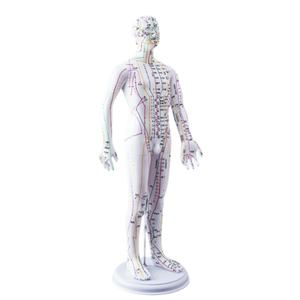 टीसेमी शिक्षा के लिए सुई सम्मिलन बिंदु सतह के साथ उन्नत रंग-कोडित मेरिडियन लाइन एक्यूपंक्चर प्रशिक्षण मॉडल - Product Image 4