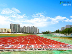 Pista de carreras atlética de goma de rendimiento ambiental INOLP, materiales de pista de atletismo híbridos, suelo deportivo atlético de pasarela de plástico - Product Image 2