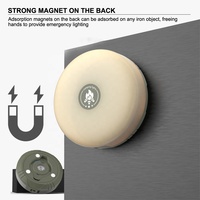 Guirlandes lumineuses LED portables pour le camping, durables, étanches, pour la jardinage, lampes d'extérieur, lumière de tente rechargeable avec 8 modes d'éclairage