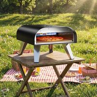 Four à pizza portable en acier inoxydable de 12 pouces, four à pizza au gaz pour l'extérieur avec thermomètre intégré