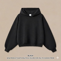 Conjunto de Sudadera con Capucha y Pantalones Deportivos Personalizados al por Mayor, 350 g/m², para Hombre, Tallas US y EU, Marca Privada, Sudadera Lisa
