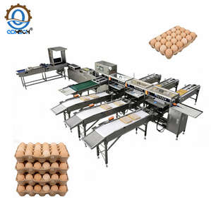 خط إنتاج متطور لفرز ووزن وتعبئة البيض للاستخدام التجاري، آلة تصنيف وتعبئة البيض - Product Image 5