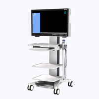 YKD-9132 4K tout-en-un 32 pouces système d'endoscopie chirurgicale imagerie laparoscopique compacte électrique en métal avec source d'alimentation