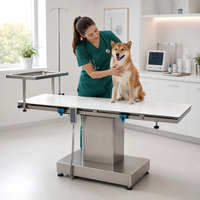 Table d'opération vétérinaire pour animaux de compagnie XY ACS05 avec structure durable, surface hygiénique et conception prête à l'emploi en clinique