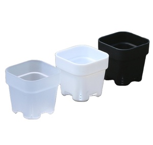 <span class=keywords><strong>Macetas</strong></span> <span class=keywords><strong>Cuadradas</strong></span> Negras de Plástico Grueso, Duraderas y Ecológicas, de 4cm, 5cm, 8.5cm y 12cm, para Jardín, Vivero y Suculentas, Venta al Por Mayor - Product Image 1