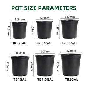 Vasi per Fiori Artificiali <span class=keywords><strong>in</strong></span> PP all'Ingrosso, Mini Vasi per Piante da Vivaio, Vasi da Giardino per Esterni, Durevoli, Leggeri e Biodegradabili - Product Image 3