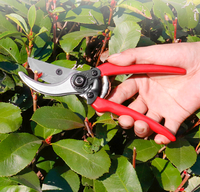 Ciseaux de jardinage à lame recouverte de PTFE pour la taille des plantes et des arbres, et fournitures de couture