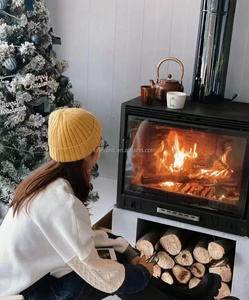Hot <strong>Sale</strong> Modern Stainless Steel Built-In Fireplace Insert Matt Black Indoor <strong>Wood</strong> Burning <strong>Stove</strong> Supports Wooden Household Outdoor - Product Image 6